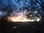 dusk311102.jpg