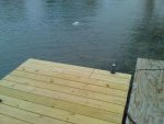 swim platform wo motor.jpg