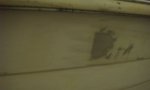 DSC08396.jpg