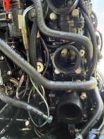 IMG_1392.jpeg