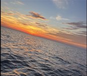 IMG_6185.jpeg