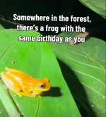 1791285699269.png