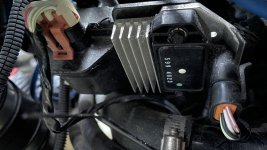 IMG_7533.jpeg