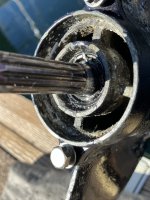 IMG_6431.jpeg