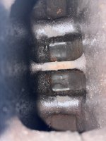 IMG_3265.jpeg