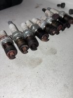 IMG_3251.jpeg