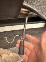 IMG_2142.jpeg