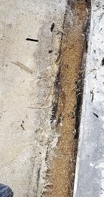 20261029_102820.jpg