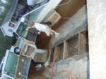 DSC00780.jpg