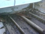 IMG00034-20100406-1906.jpg