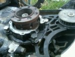 IMG00093-20100411-1503.jpg