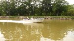 boat3.jpg