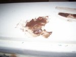 100_2655.jpg