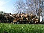 woodpile.jpg