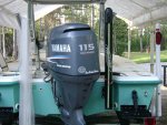 greenwater 387.jpg