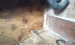 IMAG0059.jpg