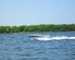 blueangels2010_004.jpg