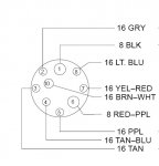 engine harness.jpg