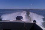Boat in water1.jpg