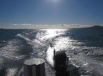 IMG_1878.jpg