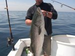 stripers 001.jpg