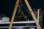IMG_2845.jpg