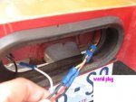 werid plug.JPG