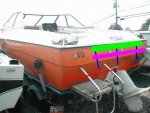 1981 SAMPLE SWIMPLATFORM.JPG