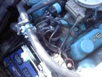 downsized_0608001128b.jpg