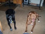 100_0126s.jpg