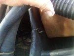 IMG00162-20100615-1524.jpg