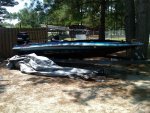 IMG00182-20100617-1151.jpg