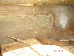 DSC00008.jpg