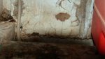 DSC03999-forum.jpg
