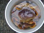 DSC00137.JPG