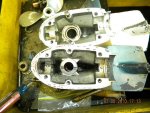 small pic size.jpg