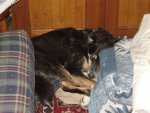 Cottage 2010 Cathy 023.jpg