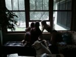 girls watching hail.jpg
