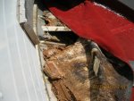 Picture 004.jpg