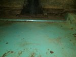 IMG00147-20100712-1930.jpg