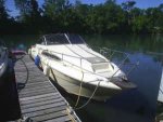 82_sea ray.jpg