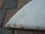 DSC00962.jpg