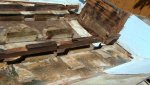 DSC04983-forum.jpg