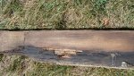 DSC04992-forum.jpg