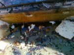 20100605UnderFl04.jpg