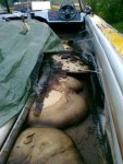 20100606FlPreStrip01.jpg