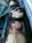 20100606FlPreStrip02.jpg