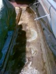 20100613Fl_Stripped01.jpg