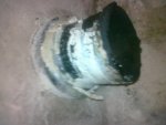 20100621Exhaust05.jpg