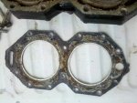 IMG_20100725_174409.jpg